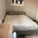 The Cocoon